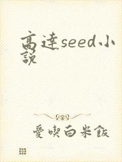 高达seed小说