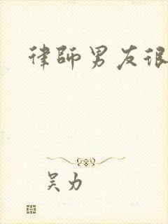 律师男友很难撩