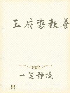 王府惩教养日常