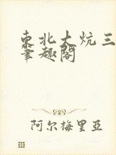 东北大炕三部曲笔趣阁