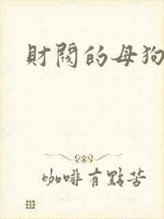 财阀的母狗们