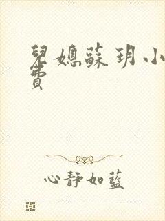 儿媳苏玥小说免费