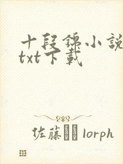 十段锦小说全本txt下载