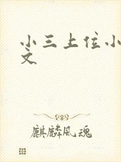 小三上位小说全文