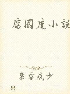 腐国度小说