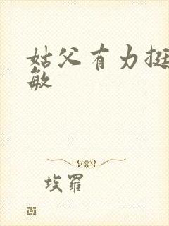 姑父有力挺送赵敏