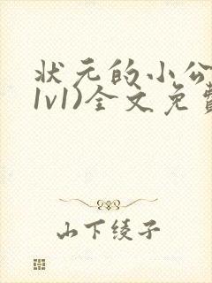 状元的小公主(1v1)全文免费阅读