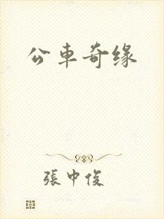 公车奇缘