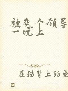 被几个领导玩弄一晚上