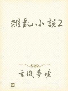 杂乱小说2