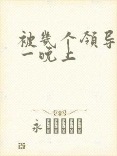 被几个领导玩弄一晚上