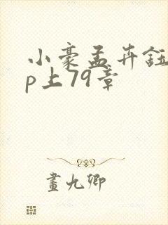 小豪孟卉钰慧三p上79章