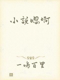 小说嗯啊