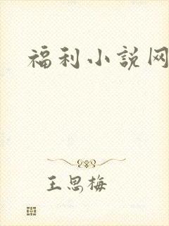 福利小说网