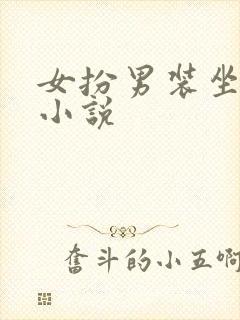 女扮男装坐江山小说