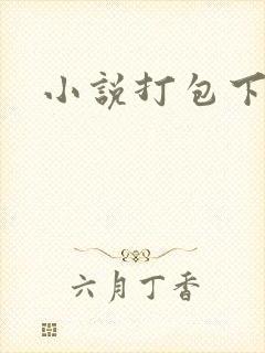小说打包下载