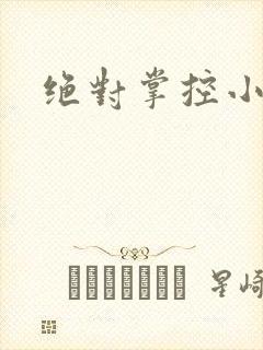 绝对掌控小说
