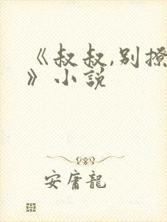 《叔叔,别撩我》小说