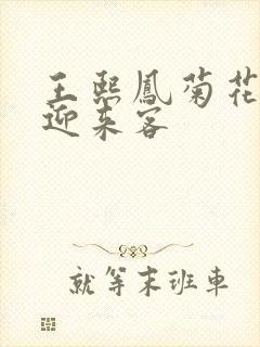 王熙凤菊花门初迎来客