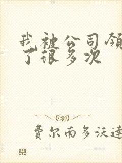 我被公司领导C了很多次