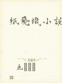 纸飞机小说