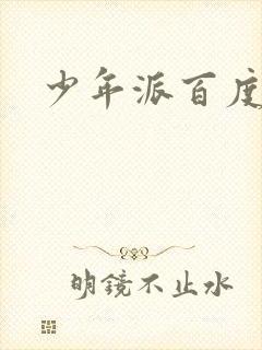 少年派百度百科