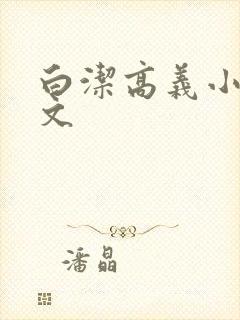 白洁高义小说全文