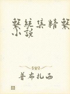 系统集精系统 小说