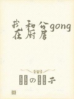 我和公gong在厨房