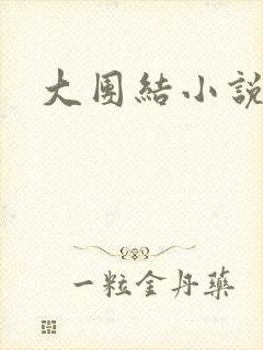 大团结小说下载