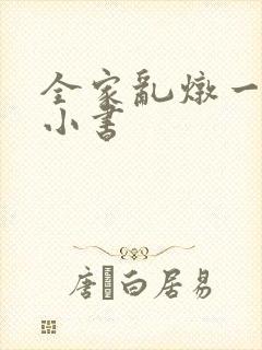 全家乱炖一锅烩小书