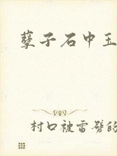 孽子石中玉