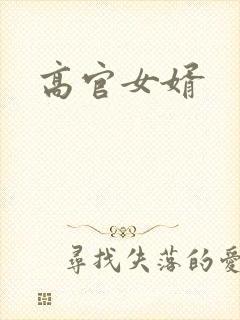 高官女婿