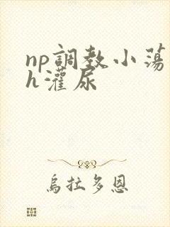 np调教小荡货h灌尿