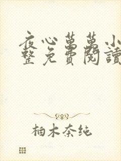 夜心万万小说完整免费阅读全文