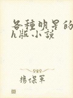 各种明星的综艺h版小说