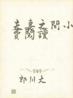 夫妻之间小说免费阅读