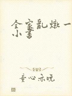 全家乱炖一锅烩小书