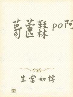 芭蕾鞋 po阿司匹林