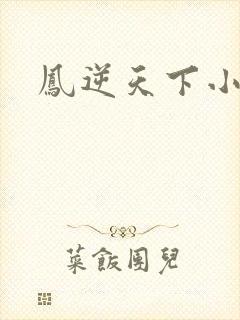 凤逆天下小说