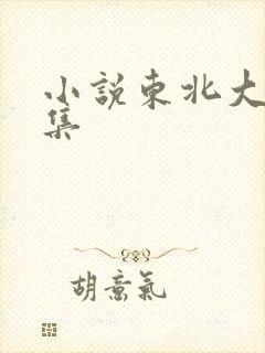 小说东北大炕全集