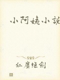 小阿姨小说