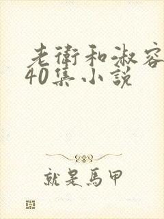 老卫和淑容1-40集小说