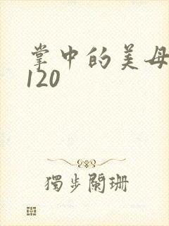 掌中的美母版主120