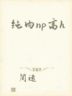 纯肉np高h