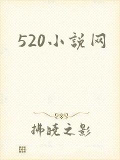 520小说网