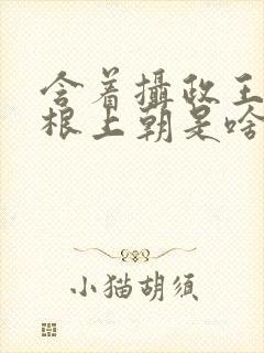 含着摄政王的紫根上朝是啥小说