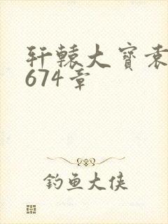 轩辕大宝袁雪妃674章