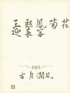 王熙凤菊花门初迎来客