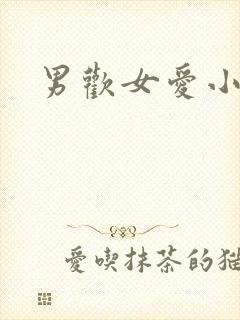 男欢女爱小说